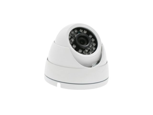 D-100C 200C Dome Camera